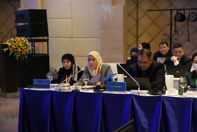 Nâng tầm hợp tác vận tải hàng hải ASEAN

 - Ảnh 12.