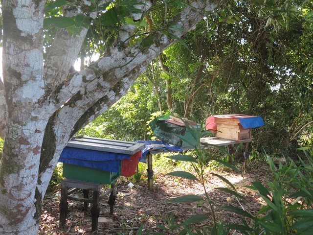 Kỳ 2: Tiếp bước cha trên hải đăng đảo Trần     - Ảnh 2.