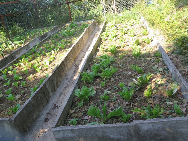 Kỳ 2: Tiếp bước cha trên hải đăng đảo Trần     - Ảnh 7.