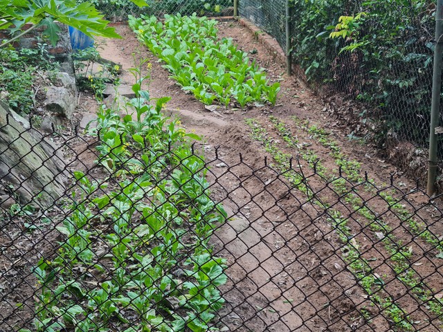 Hành trình qua những ngọn hải đăng vùng Đông Bắc   - Ảnh 12.