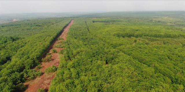 Cử tri kiến nghị quy hoạch sân bay Hớn Quản, Bộ GTVT phản hồi thế nào?

 - Ảnh 1.