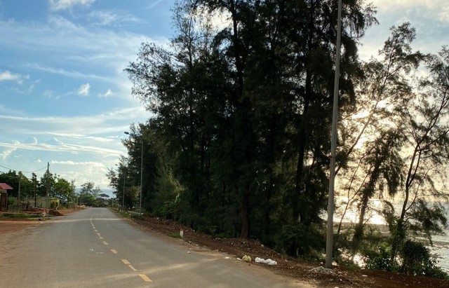 Thi công đường chồng lấn tuyến đê biển khi chưa được  phép, chủ đầu tư bị phạt 60 triệu đồng - Ảnh 1.