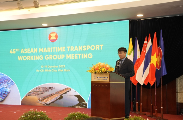 Hội nghị MTWG 45: Tăng kết nối các phương thức vận tải hàng hải chất lượng cao - Ảnh 1.
