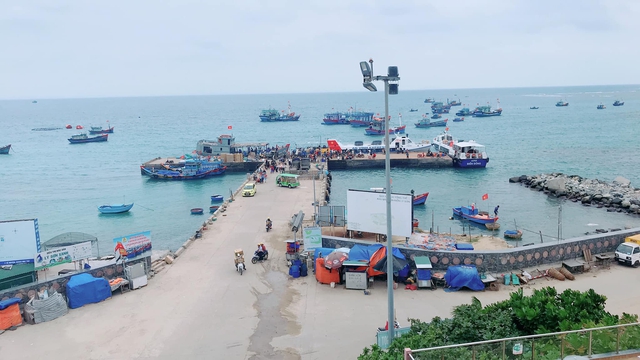 Sắp mở thêm tuyến vận tải ra đảo Lý Sơn, Côn Đảo- Ảnh 1.