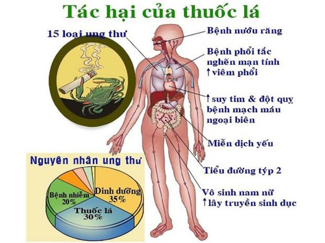 Hút thuốc lá nguy hiểm hơn ta tưởng