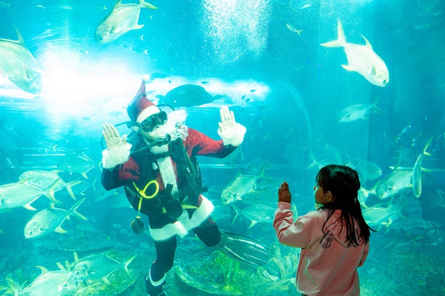 Maroon 5 liên tục 