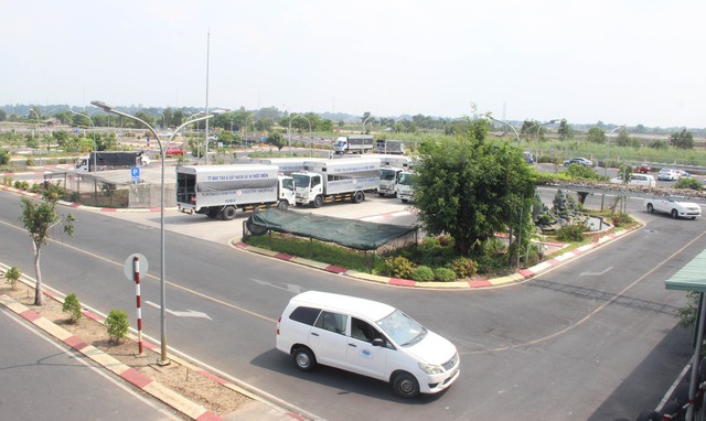 Giải mã nguyên nhân hơn 70.000 học viên thi rớt bằng lái xe ô tô tại TP. HCM- Ảnh 4.