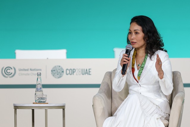 VinFast đại diện Đông Nam Á tham luận tại COP28- Ảnh 1.