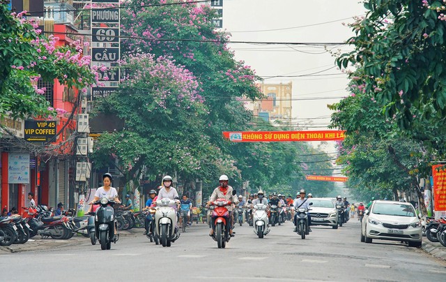 Hải Phòng tổ chức giao thông tạm thời phục vụ Liên hoan phim truyền hình toàn quốc lần thứ 41 - Ảnh 1.