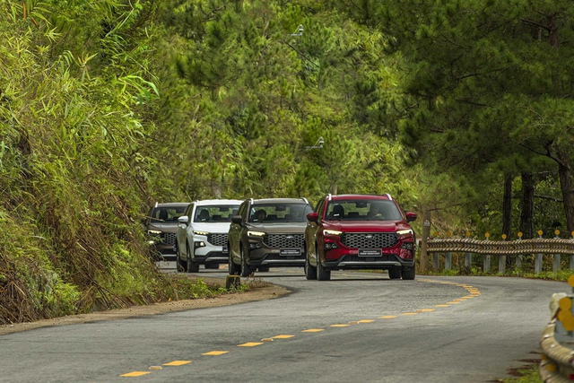 Mẫu xe SUV cỡ trung Ford Territory 2022.