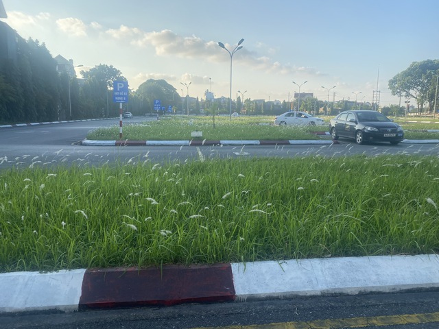 Thái Nguyên: Kiểm tra công tác đào tạo, sát hạch lái xe xong trước 15/3/2023 - Ảnh 1.