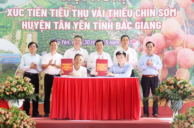 Bắc Giang sẵn sàng bảo đảm trật tự ATGT cho vụ thu hoạch vải thiều sớm - Ảnh 1. Bắc Giang sẵn sàng bảo đảm trật tự ATGT cho vụ thu hoạch vải thiều sớm - Ảnh 1.