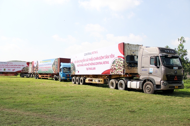 Bắc Giang sẵn sàng bảo đảm trật tự ATGT cho vụ thu hoạch vải thiều sớm - Ảnh 4. Bắc Giang sẵn sàng bảo đảm trật tự ATGT cho vụ thu hoạch vải thiều sớm - Ảnh 4.