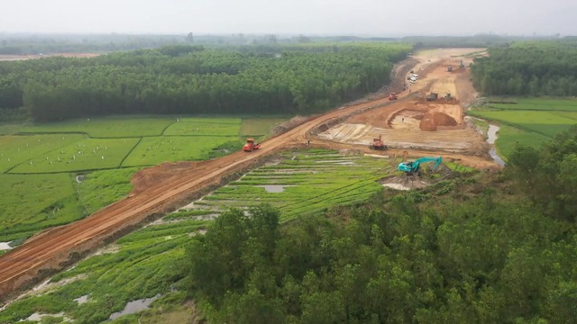 Làm rõ việc giải phóng đất rừng làm đường công vụ thi công cao tốc Quảng Ngãi - Hoài Nhơn - Ảnh 1.