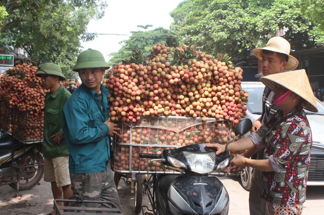 Bắc Giang triển khai lực lượng bảo đảm trật tự ATGT mùa vải thiều - Ảnh 1.