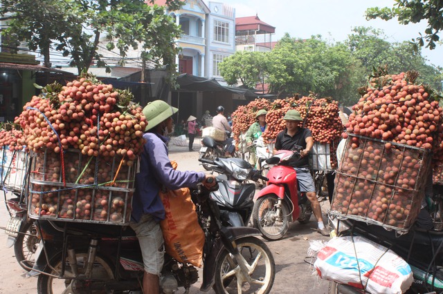 Bắc Giang triển khai lực lượng bảo đảm trật tự ATGT mùa vải thiều - Ảnh 4.