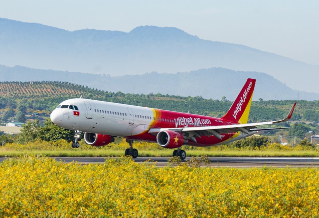 Bay thẳng Đà Lạt - Busan cùng Vietjet từ hôm nay - Ảnh 2.
