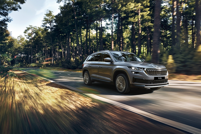 Skoda Karoq và Kodiaq chính thức ra mắt thị trường Việt Nam - Ảnh 6.