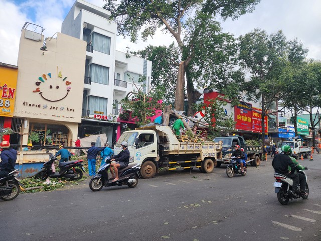Video: Cây cổ thụ gãy đổ ở Đắk lắk, người phụ nữ đi xe máy bị thương- Ảnh 3. Video: Cây cổ thụ gãy đổ ở Đắk lắk, người phụ nữ đi xe máy bị thương- Ảnh 3.
