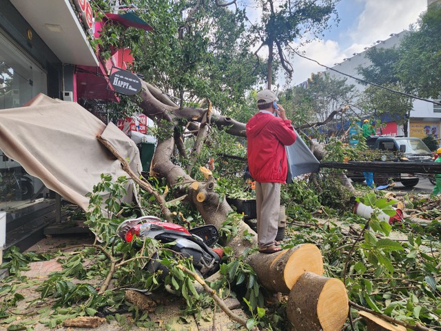 Video: Cây cổ thụ gãy đổ ở Đắk lắk, người phụ nữ đi xe máy bị thương- Ảnh 1. Video: Cây cổ thụ gãy đổ ở Đắk lắk, người phụ nữ đi xe máy bị thương- Ảnh 1.