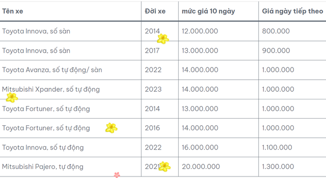 Sôi động thị trường cho thuê xe tự lái dịp Tết- Ảnh 3. Sôi động thị trường cho thuê xe tự lái dịp Tết- Ảnh 3.