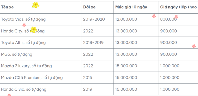 Sôi động thị trường cho thuê xe tự lái dịp Tết- Ảnh 2. Sôi động thị trường cho thuê xe tự lái dịp Tết- Ảnh 2.