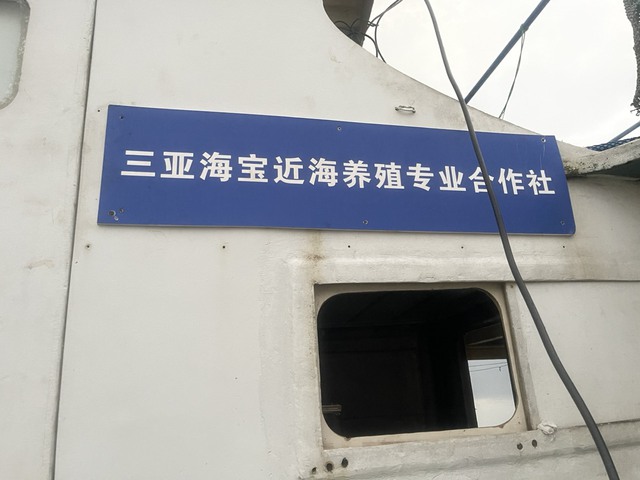 Cận cảnh tàu lạ ghi chữ nước ngoài trôi dạt vào bờ biển Quảng Trị- Ảnh 5.