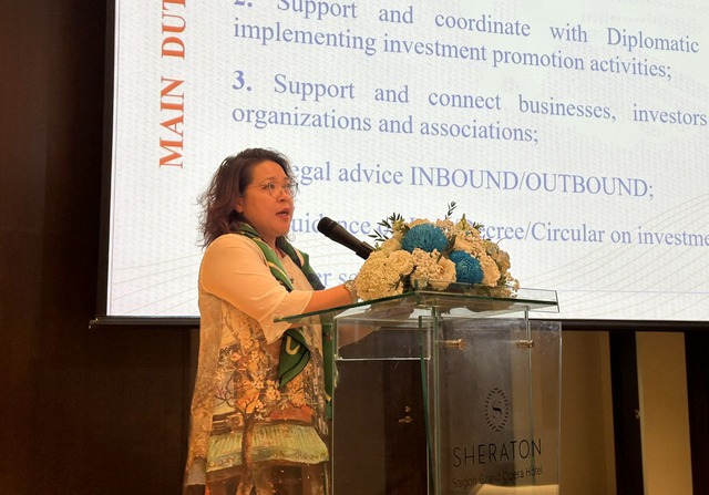 Việt Nam có tiềm năng thu hút đầu tư phát triển vận tải hàng siêu trường, siêu trọng - Ảnh 4.