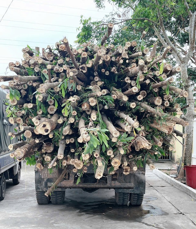 Quảng Ninh: Liên tiếp xảy ra 2 vụ tai nạn, khiến 2 người tử vong - Ảnh 2.