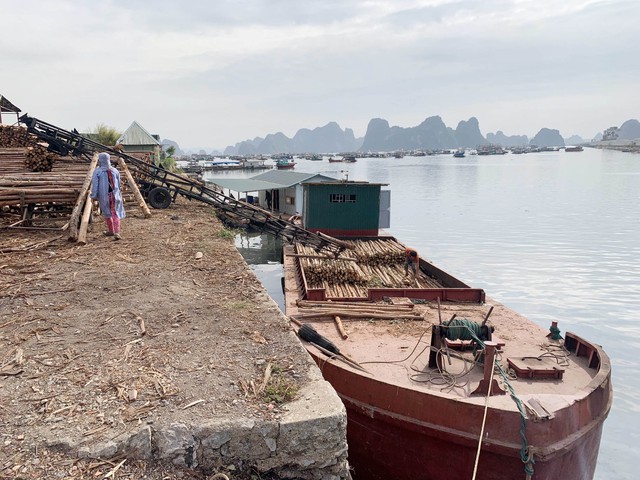 Quảng Ninh: Hàng loạt sai phạm tại dự án Bến Do đến bao giờ được xử lý? - Ảnh 1.