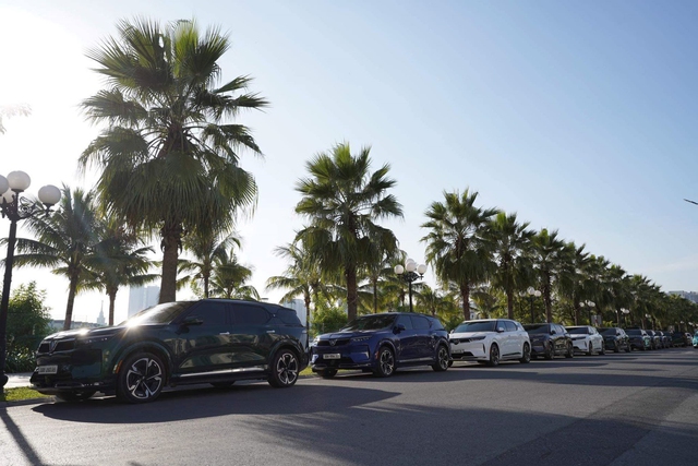 VinFast được đánh giá cao trong khả năng làm chủ thị trường.