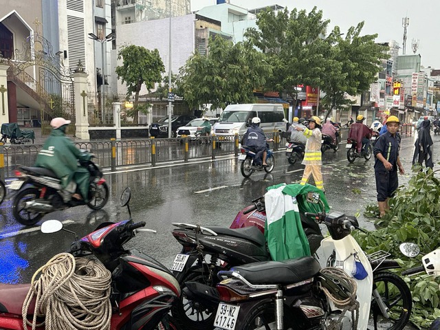 TP. HCM mưa lớn cây gãy đổ khiến giao thông rối loạn- Ảnh 2.