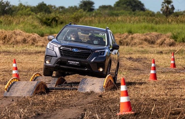 Mẫu xe Subaru Forester đang được nhập khẩu nguyên chiếc từ Thái Lan.