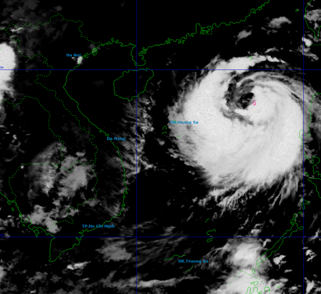 Chủ động ứng phó với bão số 11- Ảnh 3. Chủ động ứng phó với bão số 11- Ảnh 3.