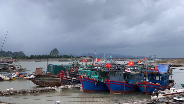 Quảng Ninh: Huy động hơn 17 nghìn người sẵn sàng phòng, chống bão số 11- Ảnh 1. Quảng Ninh: Huy động hơn 17 nghìn người sẵn sàng phòng, chống bão số 11- Ảnh 1.