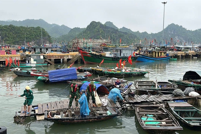 Ứng phó bão số 11: Trường học ở Hải Phòng được tự quyết định cho học sinh nghỉ tránh bão - Ảnh 1.