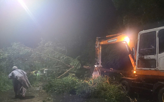 Đắk Lắk xuất hiện thiệt hại ban đầu do bão số 13: Cây xanh đổ ngã, nhiều tuyến đường ngập úng- Ảnh 1.