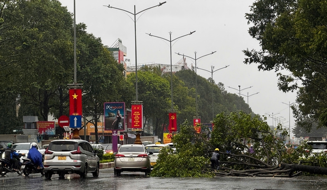 Đắk Lắk xuất hiện thiệt hại ban đầu do bão số 13: Cây xanh đổ ngã, nhiều tuyến đường ngập úng- Ảnh 3.