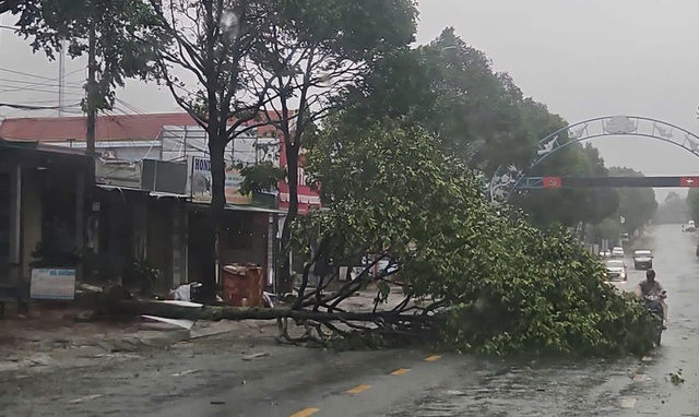 Đắk Lắk xuất hiện thiệt hại ban đầu do bão số 13: Cây xanh đổ ngã, nhiều tuyến đường ngập úng- Ảnh 2.