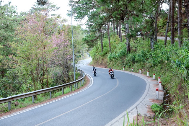 Lâm Đồng: Tạm mở đèo Prenn vào Đà Lạt theo khung giờ cố định- Ảnh 2.