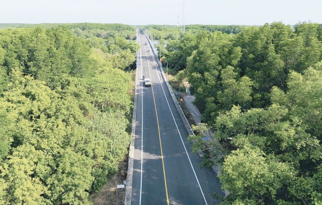 TP.HCM có thể khởi công tuyến Metro đi Cần Giờ hơn 4 tỉ USD đầu năm 2026 - Ảnh 1.