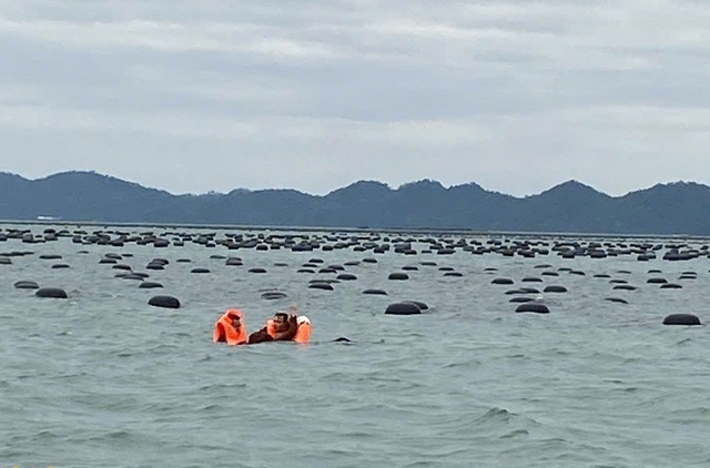 Dông lốc làm 2 người tử vong trên vùng biển xã Đầm Hà, tỉnh Quảng Ninh - Ảnh 3.