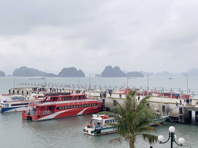 Quảng Ninh tạm ngừng cấp phép tàu ra khơi từ 13 giờ ngày 18/8  - Ảnh 1.