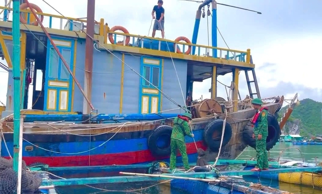 Hải Phòng: Chủ động ứng phó bão số 9 - Ảnh 1.