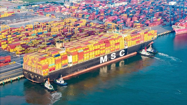 Cận cảnh tàu container lớn nhất từng cập cụm cảng nước sâu Lạch Huyện - Ảnh 2.