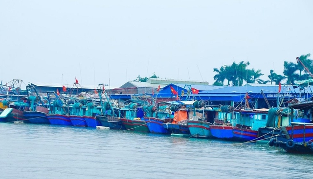 Hải Phòng tập trung cao độ ứng phó với bão Ragasa - Ảnh 1.