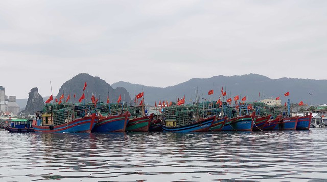 Tạm ngừng cấp phép tàu ra khơi trên vùng biển Quảng Ninh - Ảnh 1.