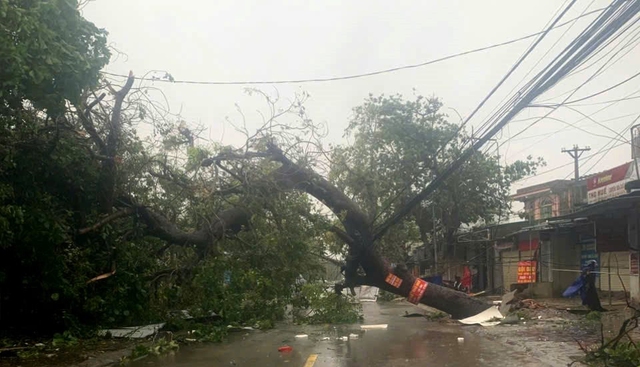 Bão số 10 gây thiệt hại nặng nề tại Nghệ An và Thanh Hóa - Ảnh 2.