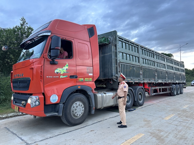 Xe đầu kéo chở cát quá tải hơn 400% chạy xuyên 3 tỉnh: Xử phạt hơn 119 triệu đồng - Ảnh 1.