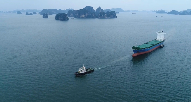 Hình ảnh mới nhất tại cảng Hải Phòng khi bão YAGI sắp đổ bộ- Ảnh 6.